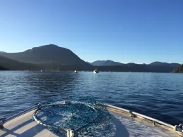 China Creek (Port Alberni)-2