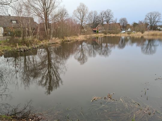 Reetteich (Reinbek)-1