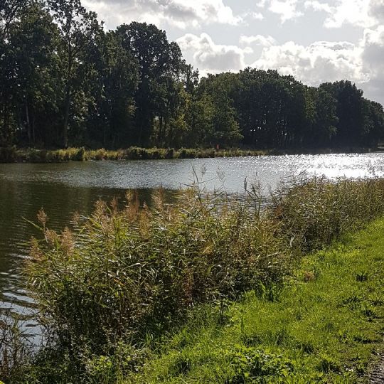 Stichkanal Osnabrück (Wallenhorst) angeln
