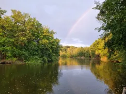 Gänsseeweiher (Bischofsheim)-3