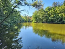 Gänsseeweiher (Bischofsheim)-1