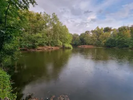 Gänsseeweiher (Bischofsheim)-2