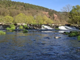 Weiße Elster (Wünschendorf/Elster)-4