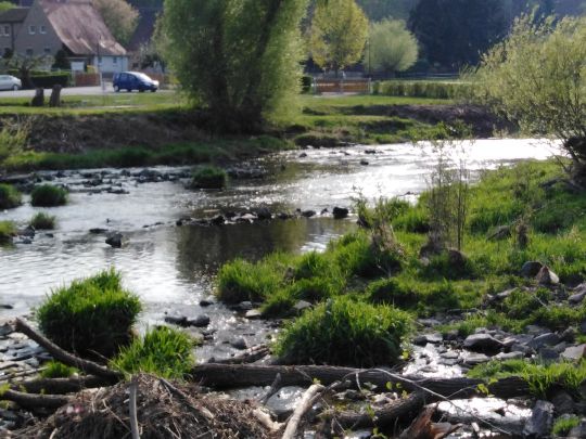 Weiße Elster (Wünschendorf/Elster)-1