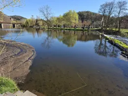 Weiße Elster (Wünschendorf/Elster)-2