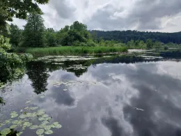 Ebenweiler Weiher