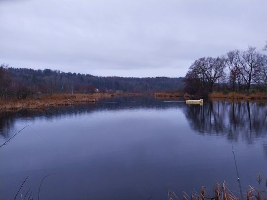 Ebenweiler Weiher-1