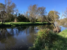 Bode (Neugattersleben)