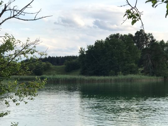 Fohnsee