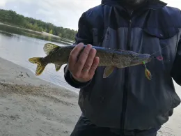 Baggersee Niederlangen