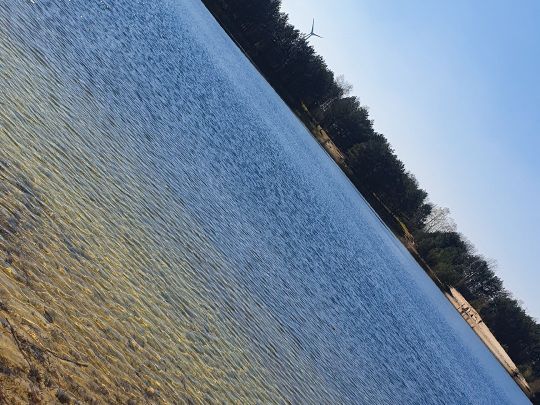 Baggersee Niederlangen-1