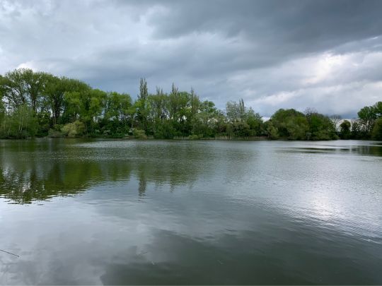 Auensee (Granschütz)-4