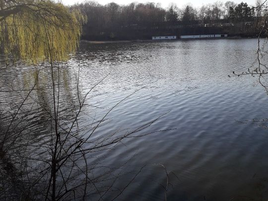 Auensee (Granschütz)-3