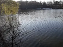 Auensee (Granschütz)-3