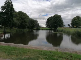 Schäferteich (Hörsingen)-1