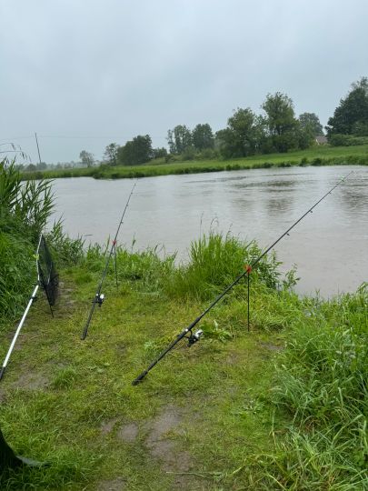 Wörnitz (Dinkelsbühl)-3