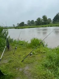 Wörnitz (Dinkelsbühl)-3