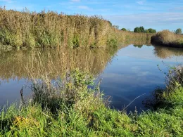 Wörnitz (Dinkelsbühl)-4