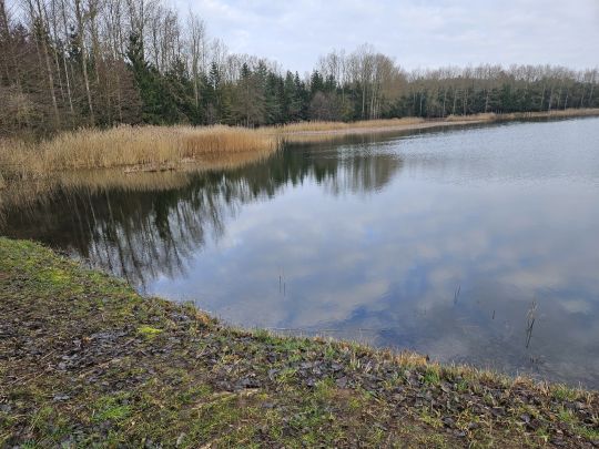 Rethwiese A (Wendorf)