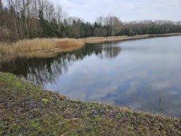 Rethwiese A (Wendorf)