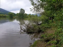 Main (Freudenberg-Kirschfurt)-1