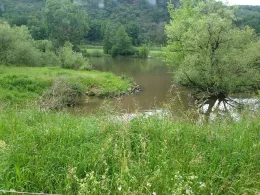 Main (Freudenberg-Kirschfurt)