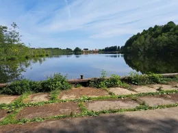 Bauernsee (Dobbrikow)-4