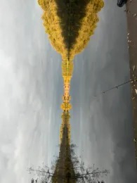 Bauernsee (Dobbrikow)