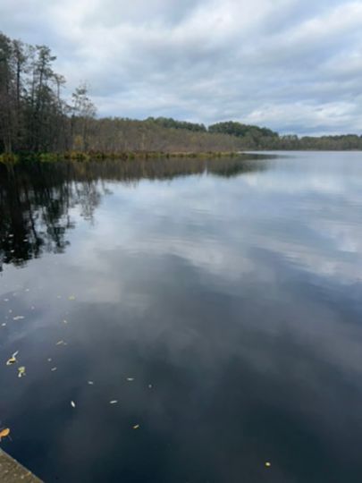 Bauernsee (Dobbrikow)-1