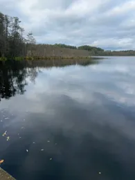 Bauernsee (Dobbrikow)-1