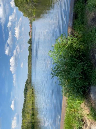 Bauernsee (Dobbrikow)-3