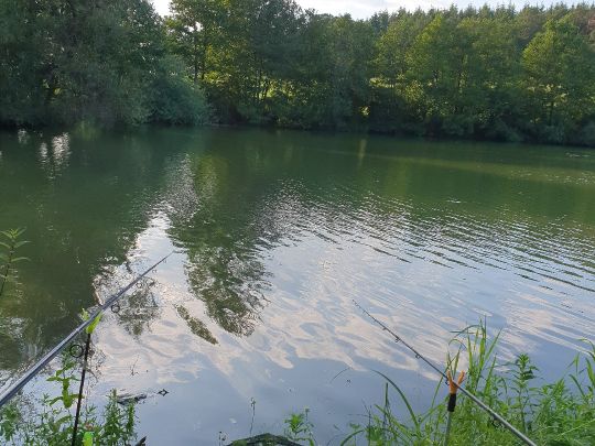 Ellertshäuser See-4