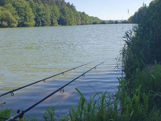 Ellertshäuser See-2