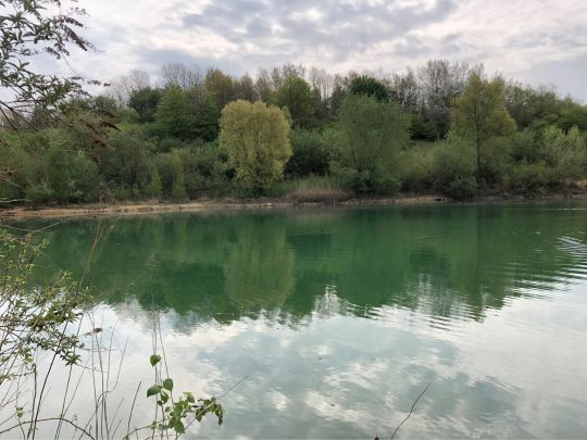 Baggersee Vorster Busch