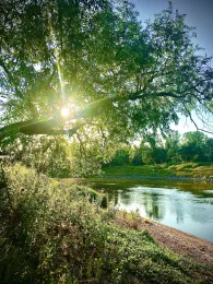 Saale (Groß Rosenburg)