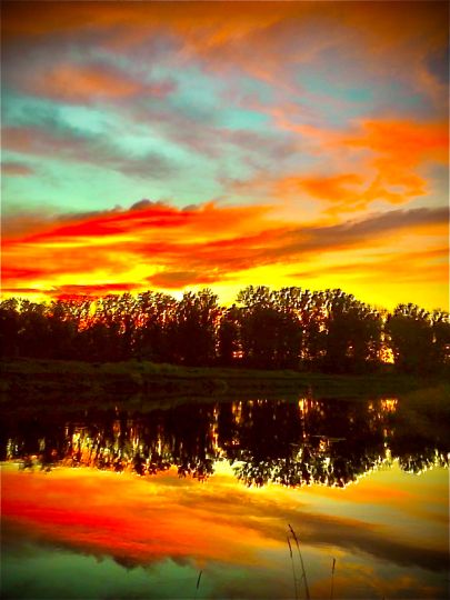 Saale (Groß Rosenburg)-4