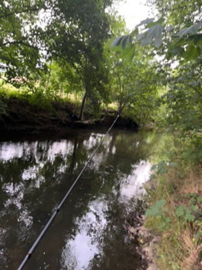 Wesenitz (Stolpen)-1