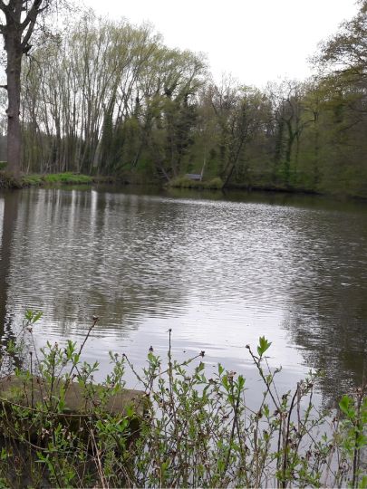 Heubach (Steinheim)