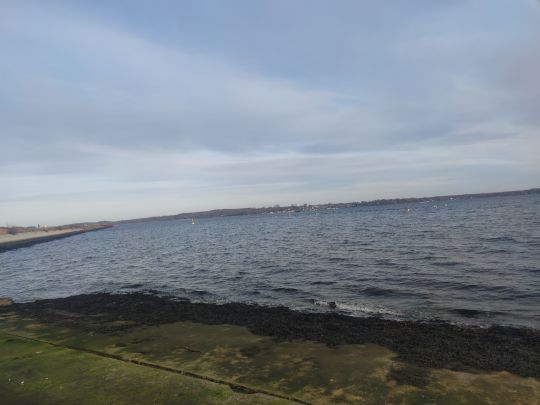 Kieler Förde (Holtenau)-4