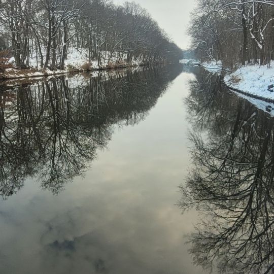 Niegripper Altkanal-1