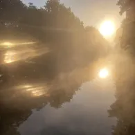 Niegripper Altkanal-2