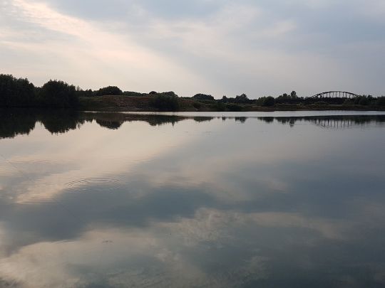 Vogtteich (Neesen) angeln
