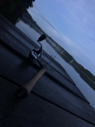 Bossee-3