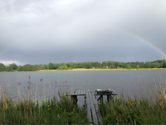 Bossee-2