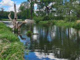 Große Röder (Walda)-2