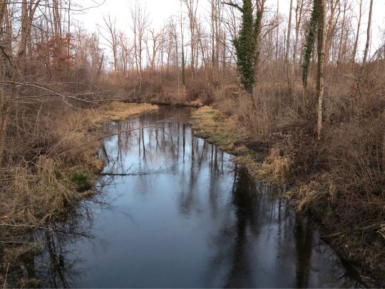 Moosbach (Rosenheim)-1