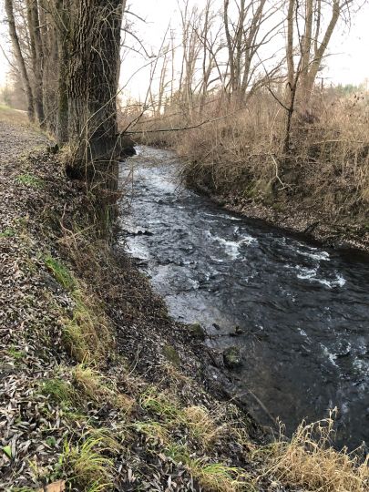 Moosbach (Rosenheim)-2