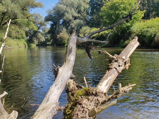 Amper (Fahrenzhausen)-2