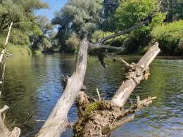 Amper (Fahrenzhausen)-2