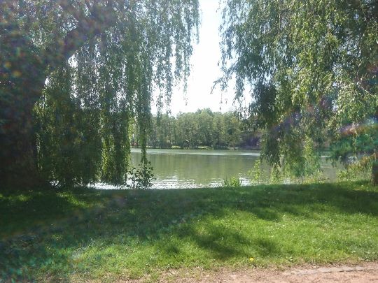 Burgsee (Bad Salzungen)-1